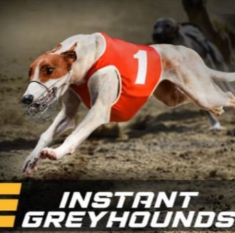 Greyhound Races