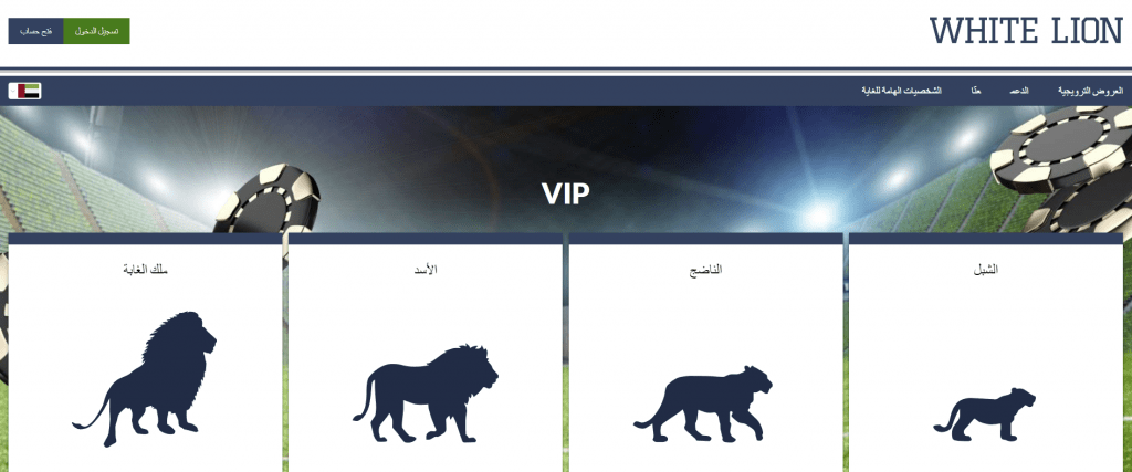 Best Moroccan Online Casinos of 2022 VIP Programs