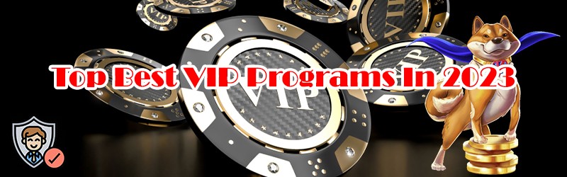 Top Best VIP Programs