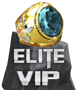 VIP Elite