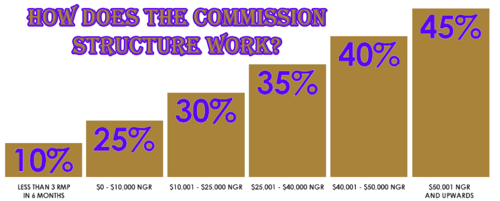 How Does The Commission Structure Work?