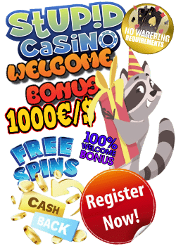 Stupid Casino Welcome Bonus