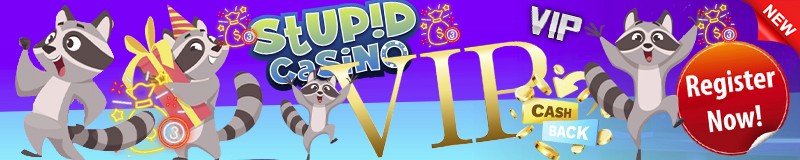 The Stupid Casino VIP Programme