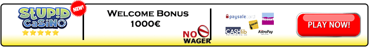 Stupid Casino welcome bonus banner