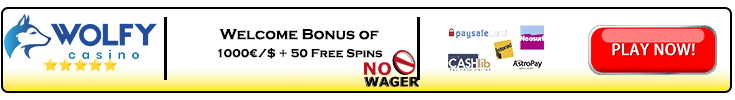 Wolfy Casino Banner